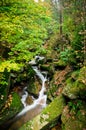 Stream in Jizera mountains, Czech Republic