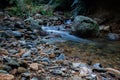 Stream in the Kaimai Forest