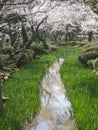 Stream, Kenrokuen gardens, Kanazawa, Japan Royalty Free Stock Photo