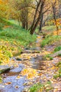 The stream in the Kolomenskoe park in the autumn