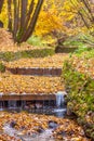 The stream in the Kolomenskoe park in the autumn