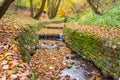 The stream in the Kolomenskoe park in the autumn