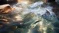 stream light transparent