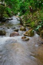 Stream at Mae Kampong, Chiang Mai, Thailand