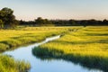 Stream through marsh field Royalty Free Stock Photo
