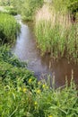 Stream meandering through the landscape