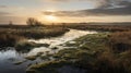 Misty Wetland In Yorkshire Traditional British Landscapes At Sunset