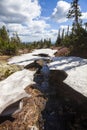 Stream and melting snow in the Shoria. Russia Royalty Free Stock Photo