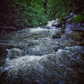 Stream in the middle of rainforest Royalty Free Stock Photo