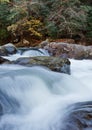 Stream in the mountains, fall colors