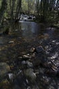 Stream mountains landscape view spring grass trees nature outdoor natural enviroment