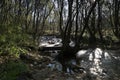 Stream mountains landscape view spring grass trees nature outdoor