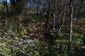 Stream  mountains landscape view spring sky trees nature outdoor Royalty Free Stock Photo