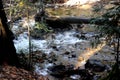 Stream moving down from Mirror Lake, Yosemite National Park, California Royalty Free Stock Photo