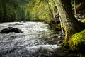 Stream at Nairn Falls, Canada Royalty Free Stock Photo