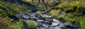 Beautiful forest creek. Moss trees and moss stones. Stream in the national park. Connemara, Ireland. Royalty Free Stock Photo