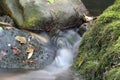 Stream nature scene