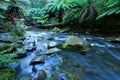 Stream near Beauchamp Falls Royalty Free Stock Photo