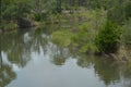 A stream near Carrabelle Florida Royalty Free Stock Photo