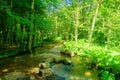 A stream near in Lake Biograd