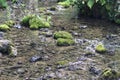 Stream near spring - Jankovac, Papuk, Croatia