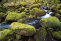 Stream in old forest, blurred water in fast motion Royalty Free Stock Photo