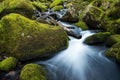 Stream in old forest, blurred water in fast motion Royalty Free Stock Photo