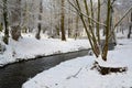 The stream Park proceeds on the Central park, Kaliningrad Royalty Free Stock Photo