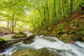 stream in the park among stones. outdoor nature scenery in spring