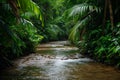 A stream peacefully flows through a verdant forest, creating a tranquil and captivating scene, River flowing freely in a Royalty Free Stock Photo