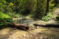 Stream peacefully and slowly flowing through the forest areas of the Slovak Paradise National Park Royalty Free Stock Photo