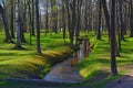 A stream in Peterhof, St. Petersburg, Russia Royalty Free Stock Photo