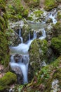 Stream Ponicova, Romania Royalty Free Stock Photo