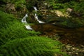 Stream pool in Giant mountains Royalty Free Stock Photo