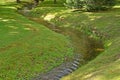 The stream proceeds through park. Summer landscape