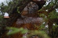 A stream with drawings on the water surface in the forest at the end of winter