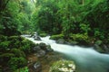 Stream in rain forest, Costa Rica Royalty Free Stock Photo