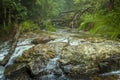 A stream on rapids in Springbrook National Park, Queensland Royalty Free Stock Photo