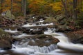 Stream at Ricketts Glen State Park PA