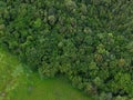 stream riparian forest