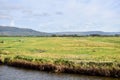 Stream river green fields blue skies clouds agriculture Royalty Free Stock Photo