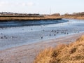 stream river landscape view blue water coast essex estuary with