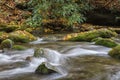 Stream with rocks and rhododendron, swift water, fall leaves