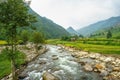 Stream with rocks and the rice fields on terraced in north of Vietnam Royalty Free Stock Photo
