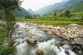 Stream with rocks and the rice fields on terraced in north of Vietnam Royalty Free Stock Photo