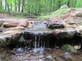 Stream at Roosevelt Park in Edison, NJ, USA. Ãâ.