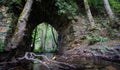 Stream and roots under antique stone bridge