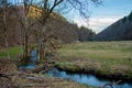 a stream running through a forest filled with trees and grass covered ground with a few dead trees in the foreground, Royalty Free Stock Photo