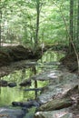 A stream running through the forest at William B. Umstead State Park in Raleigh, North Carolina