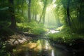 a stream running through a lush green forest filled with lots of trees and bushes, with a bright sun shining through the trees Royalty Free Stock Photo